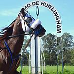 Resultados Hurlingham 25/08/2024