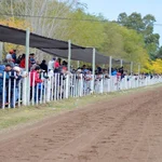 Resultados Hipódromo de Pehuajó 13/10/24