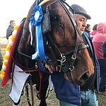 Devoto: Gran Premio Nacional de Tres Años