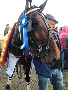 Lee más sobre el artículo Devoto: Gran Premio Nacional de Tres Años