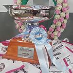 Lincoln: Gran Premio Nacional de Yeguas