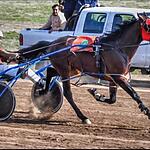 Resultados Hipódromo de Pehuajó 27/10/24