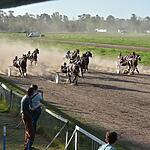 Resultados Hipódromo de Hurlingham 18/11/24