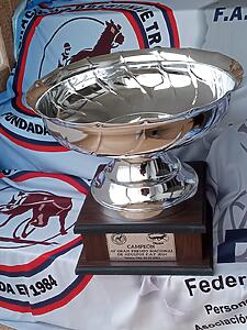 Lee más sobre el artículo 19/10/24 y 20/10/24 Gran Premio Nacional de Adultos 2024