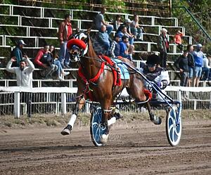Lee más sobre el artículo Resultados Hipódromo de Chivilcoy 13/10/24