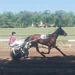 Resultados Hipódromo de Lincoln 27/10/24