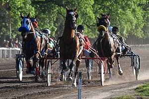 Lee más sobre el artículo Resultados Hipódromo de Chivilcoy 20/10/24